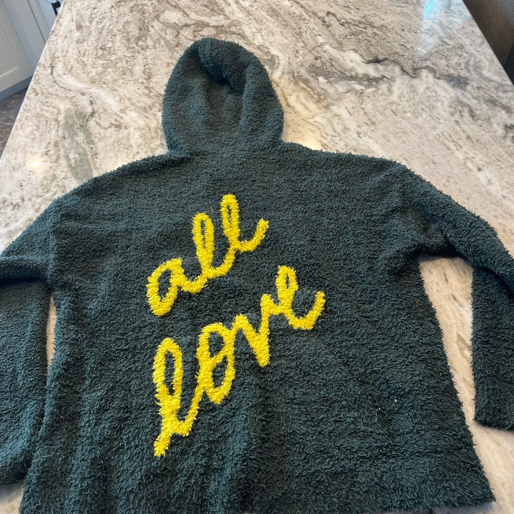 Aerie‎ Sweater Women S/P All Love Knit Jumper Hoodie Green Fluffy Soft Cruise